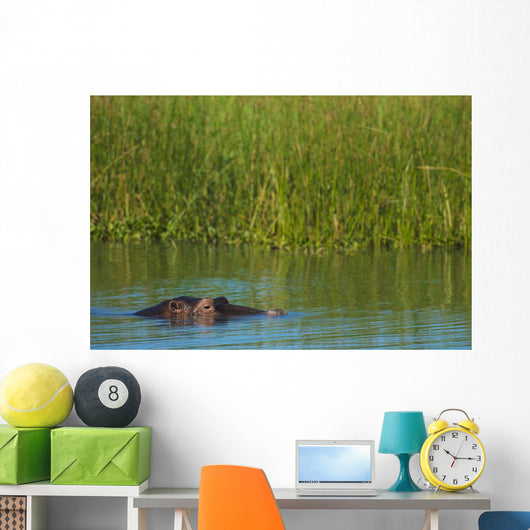 Hippo Peeking out from Wall Decal