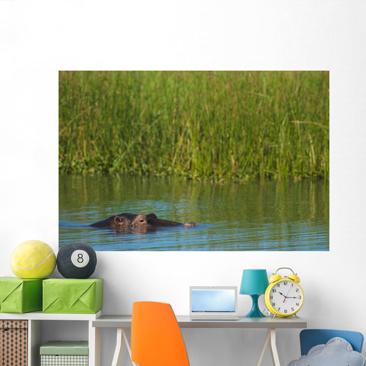Hippo Peeking out from Wall Decal