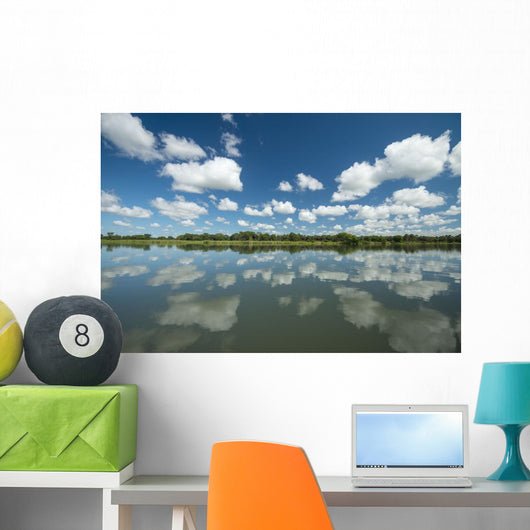 Reflections Wall Decal Design 1