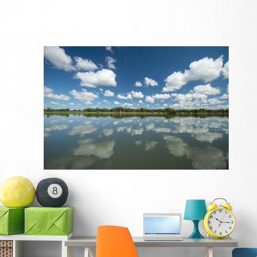 Reflections Wall Decal Design 1