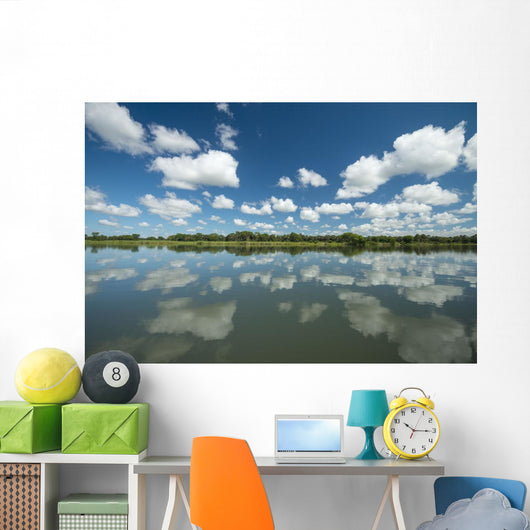 Reflections Wall Decal Design 1