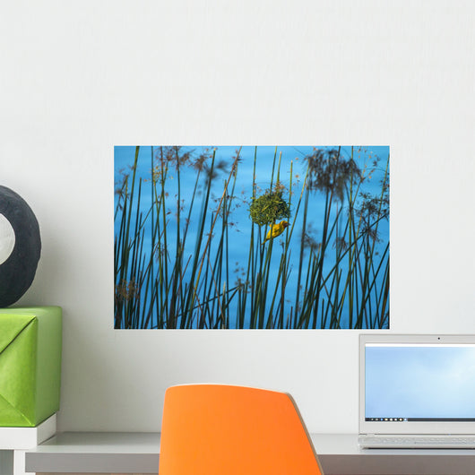 Masked Weaver Hanging Wall Decal