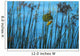 Masked Weaver Hanging Wall Decal