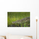 Crocodile Banks Shire River Wall Decal