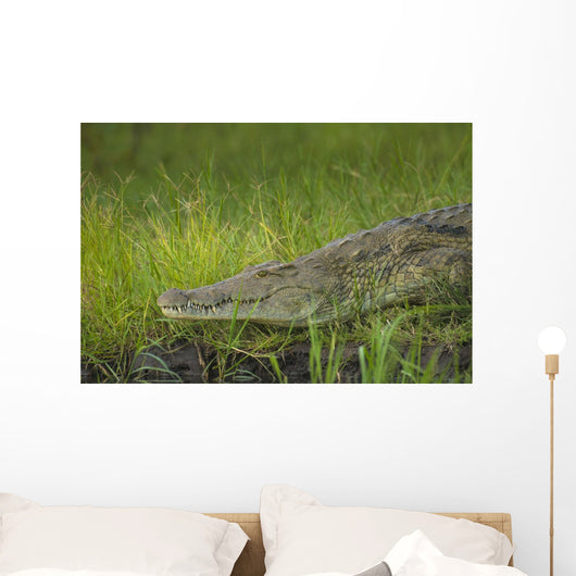 Crocodile Banks Shire River Wall Decal