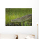 Crocodile Banks Shire River Wall Decal