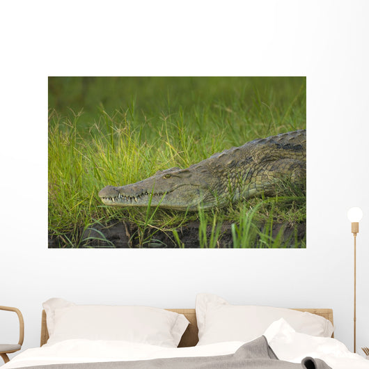Crocodile Banks Shire River Wall Decal
