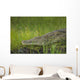 Crocodile Banks Shire River Wall Decal
