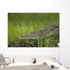 Crocodile Banks Shire River Wall Decal