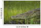 Crocodile Banks Shire River Wall Decal