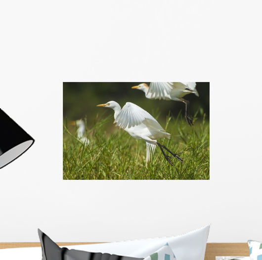 Egrets Taking Flight Liwonde Wall Decal