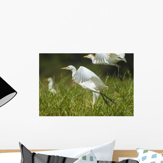 Egrets Taking Flight Liwonde Wall Decal