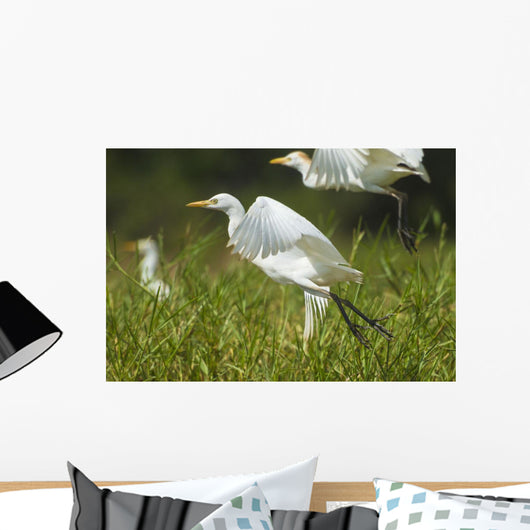 Egrets Taking Flight Liwonde Wall Decal