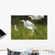 Egrets Taking Flight Liwonde Wall Decal