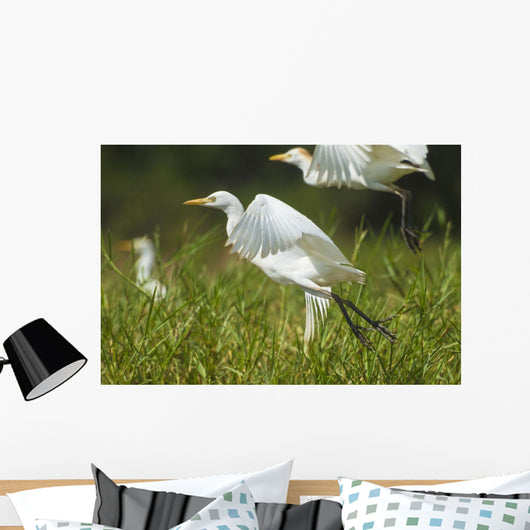 Egrets Taking Flight Liwonde Wall Decal
