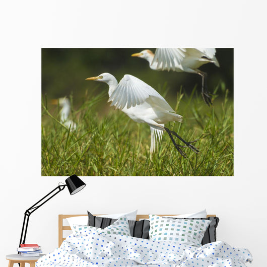 Egrets Taking Flight Liwonde Wall Decal