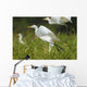 Egrets Taking Flight Liwonde Wall Decal