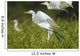 Egrets Taking Flight Liwonde Wall Decal