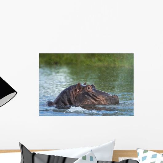 Hippo Snorting Spray Water Wall Decal