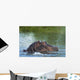 Hippo Snorting Spray Water Wall Decal