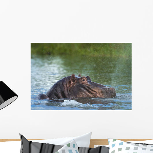 Hippo Snorting Spray Water Wall Decal
