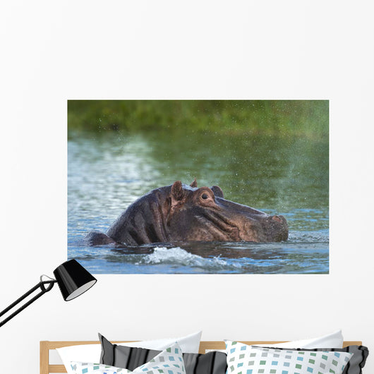 Hippo Snorting Spray Water Wall Decal