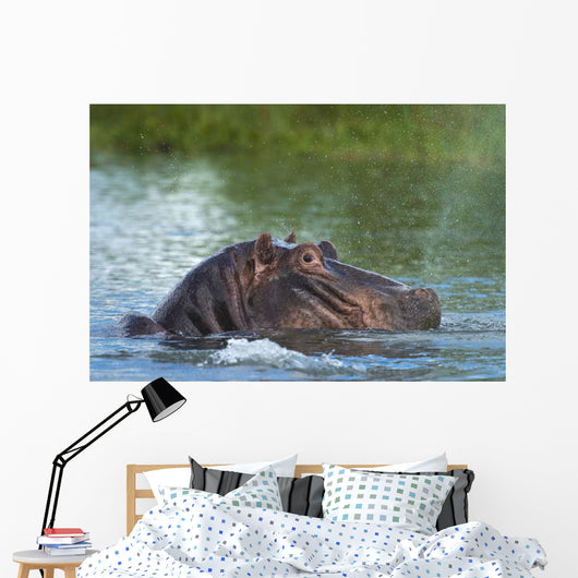 Hippo Snorting Spray Water Wall Decal
