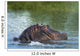 Hippo Snorting Spray Water Wall Decal