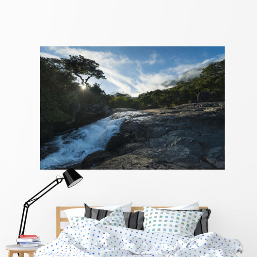 Looking up Small Waterfall Wall Decal