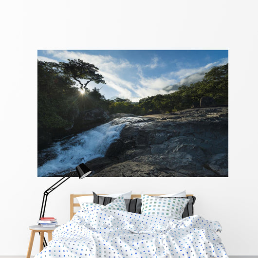 Looking up Small Waterfall Wall Decal