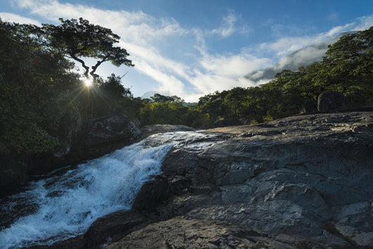 Looking up Small Waterfall Wall Decal