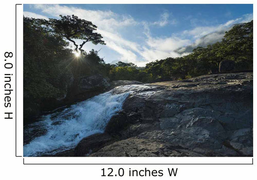 Looking up Small Waterfall Wall Decal