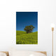 Collection Palm Trees amongst Wall Decal Design 2