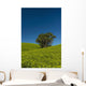 Collection Palm Trees amongst Wall Decal Design 2