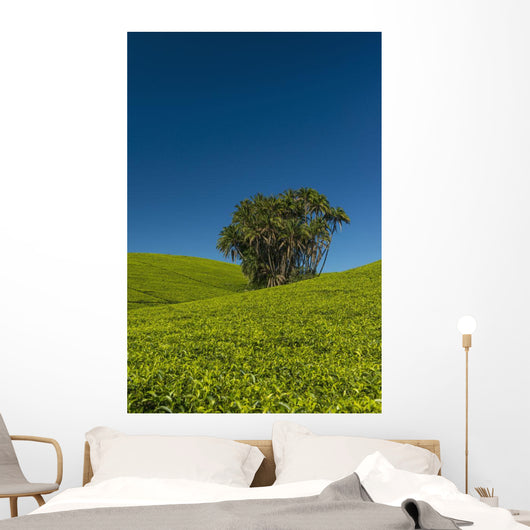 Collection Palm Trees amongst Wall Decal Design 2