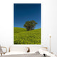 Collection Palm Trees amongst Wall Decal Design 2