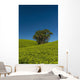 Collection Palm Trees amongst Wall Decal Design 2