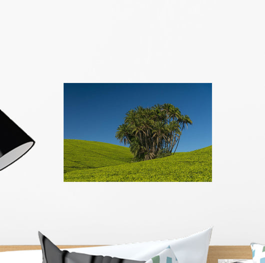 Collection Palm Trees amongst Wall Decal Design 1