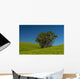 Collection Palm Trees amongst Wall Decal Design 1