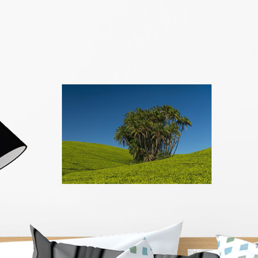 Collection Palm Trees amongst Wall Decal Design 1