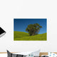 Collection Palm Trees amongst Wall Decal Design 1