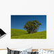 Collection Palm Trees amongst Wall Decal Design 1