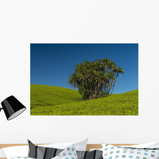 Collection Palm Trees amongst Wall Decal Design 1