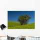 Collection Palm Trees amongst Wall Decal Design 1