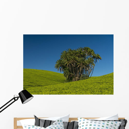 Collection Palm Trees amongst Wall Decal Design 1