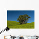 Collection Palm Trees amongst Wall Decal Design 1