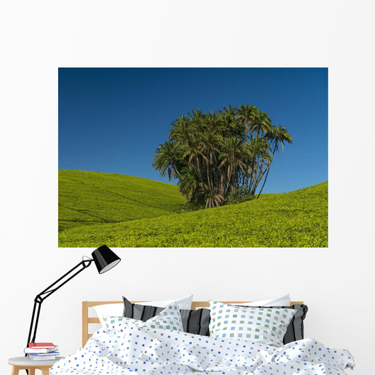 Collection Palm Trees amongst Wall Decal Design 1