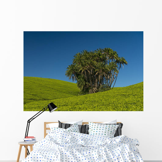 Collection Palm Trees amongst Wall Decal Design 1