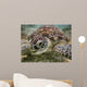 Green sea turtle Wall Mural