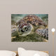 Green sea turtle Wall Mural